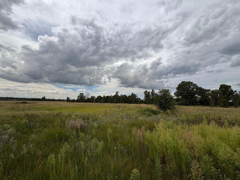 A wide-angle view of the vacant residential land, featuring open grassy fields and mature trees under a cloudy sky.