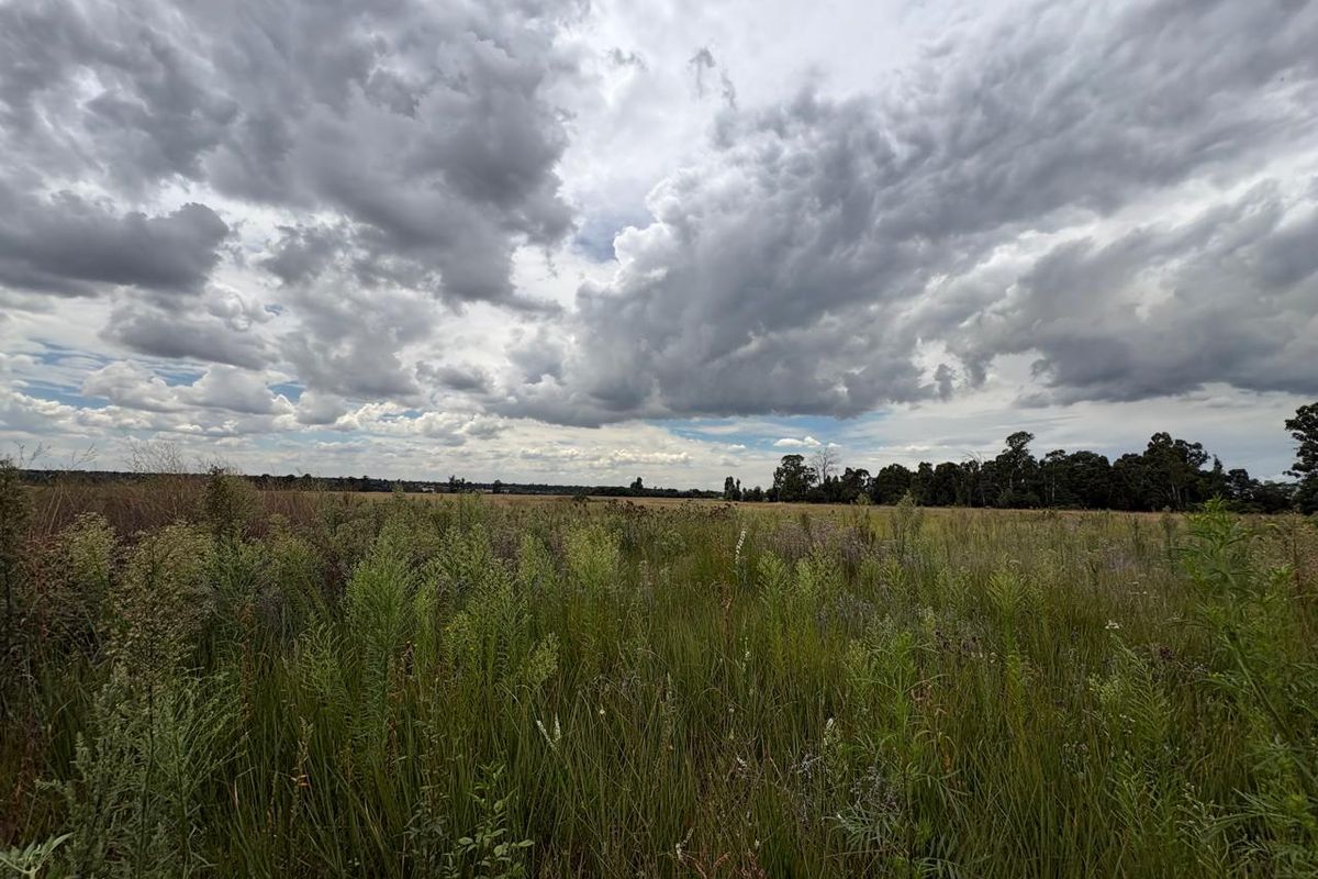 A wide-angle view of an expansive, undeveloped residential plot featuring natural grassland and mature trees under a cloudy sky.