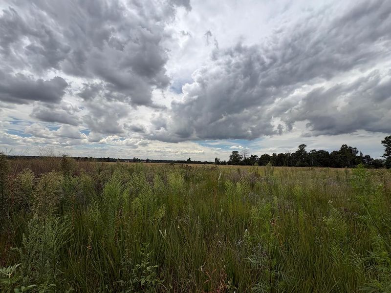 A wide-angle view of an expansive, undeveloped residential plot featuring natural grassland and mature trees under a cloudy sky.