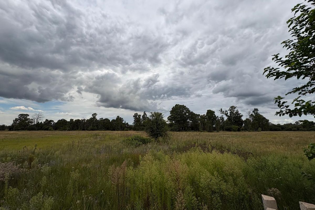 A wide-angle view of a vacant residential plot featuring natural grassland and mature trees under a cloudy sky.