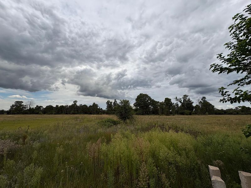 A wide-angle view of a vacant residential plot featuring natural grassland and mature trees under a cloudy sky.