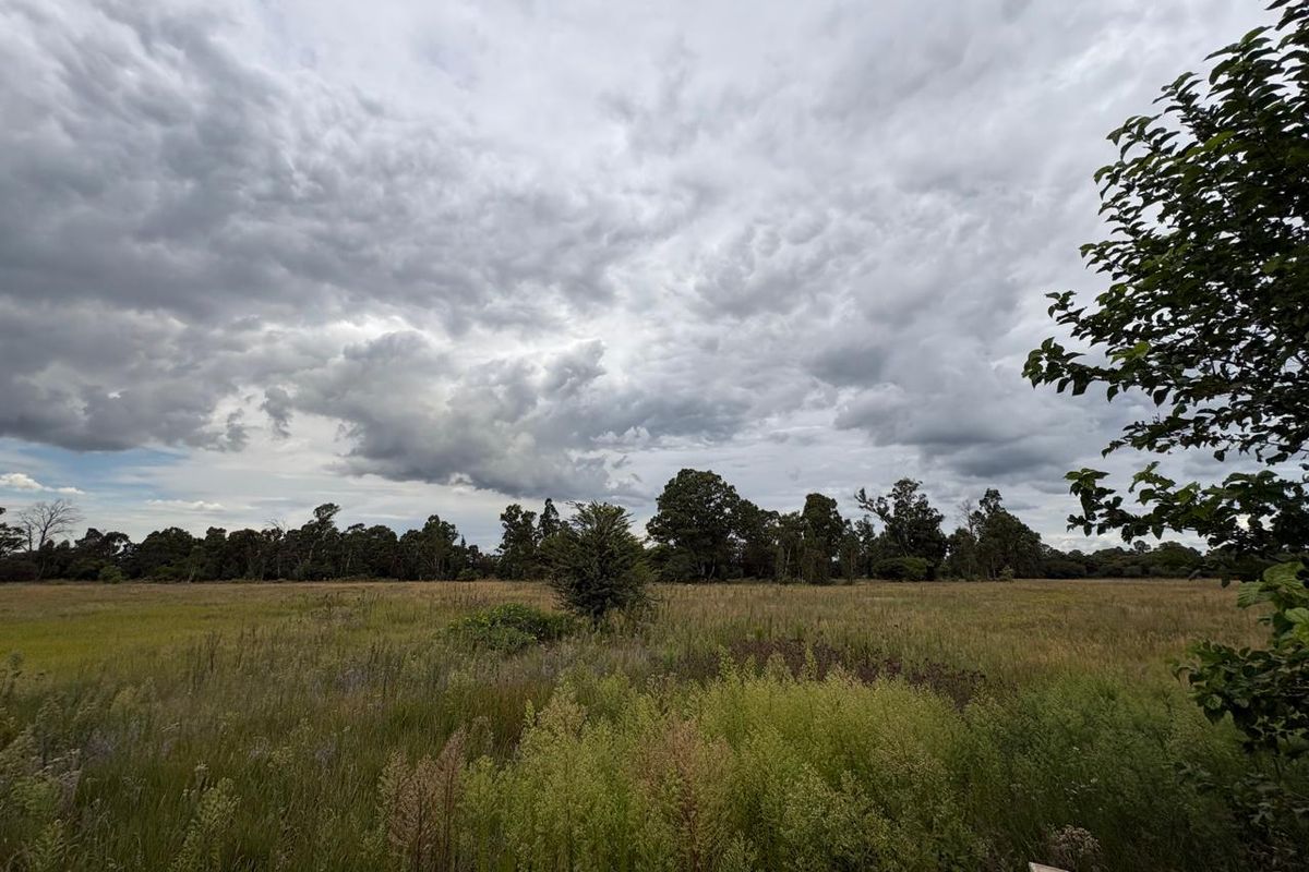 A view of a large, open vacant residential plot featuring natural grassland and mature trees under a cloudy sky.