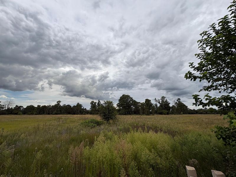 A view of a large, open vacant residential plot featuring natural grassland and mature trees under a cloudy sky.