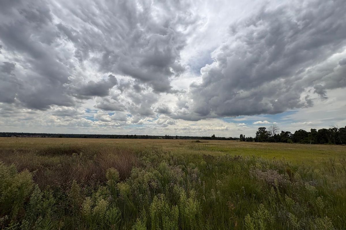 A wide-angle view of an expansive, undeveloped residential land plot featuring natural grassland and native vegetation under a cloudy sky.