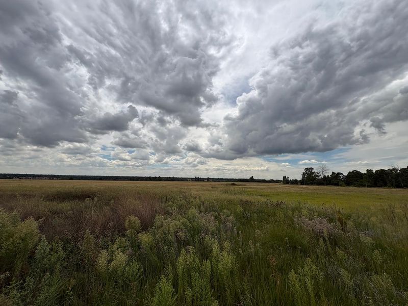 A wide-angle view of an expansive, undeveloped residential land plot featuring natural grassland and native vegetation under a cloudy sky.