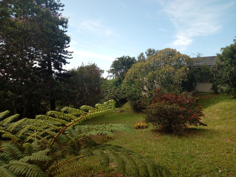 Beautiful Expansive 6-Bedroom Home with Endless Sea Views in Margate - Photo 2