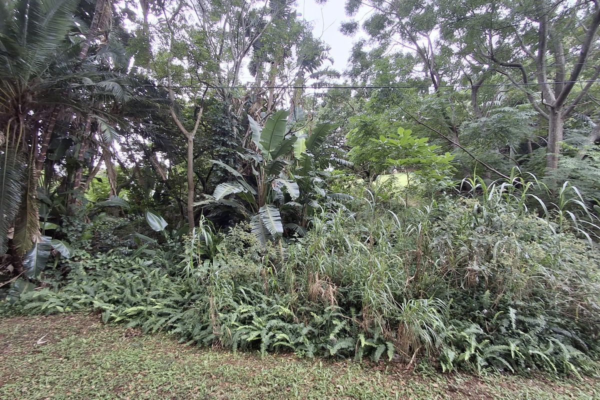 Developer’s Dream Stand - Photo 4