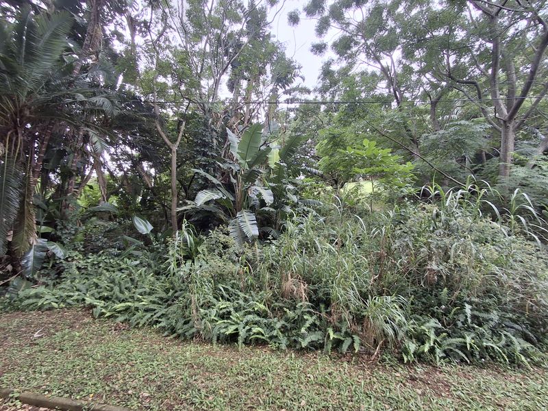 Developer’s Dream Stand - Photo 4