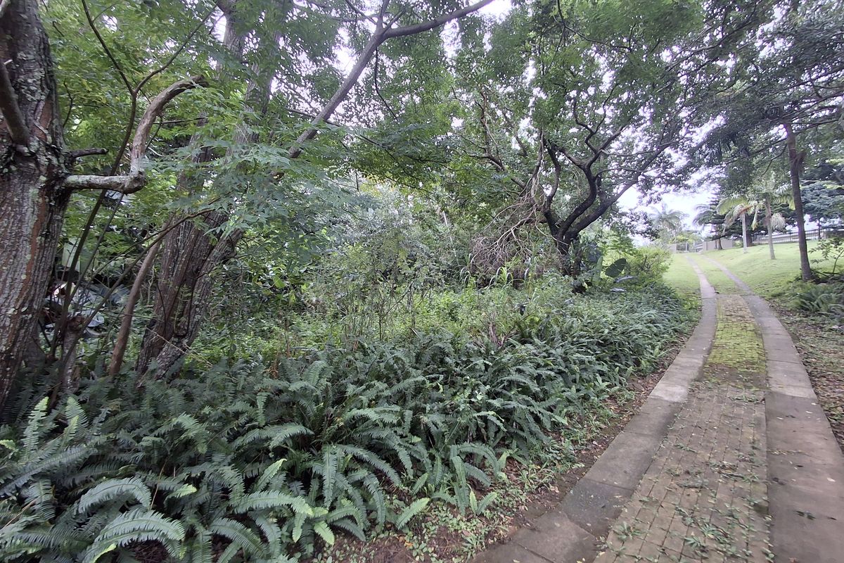 Developer’s Dream Stand - Photo 5