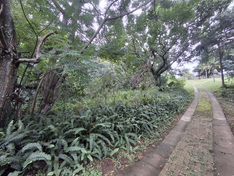 Developer’s Dream Stand - Photo 5