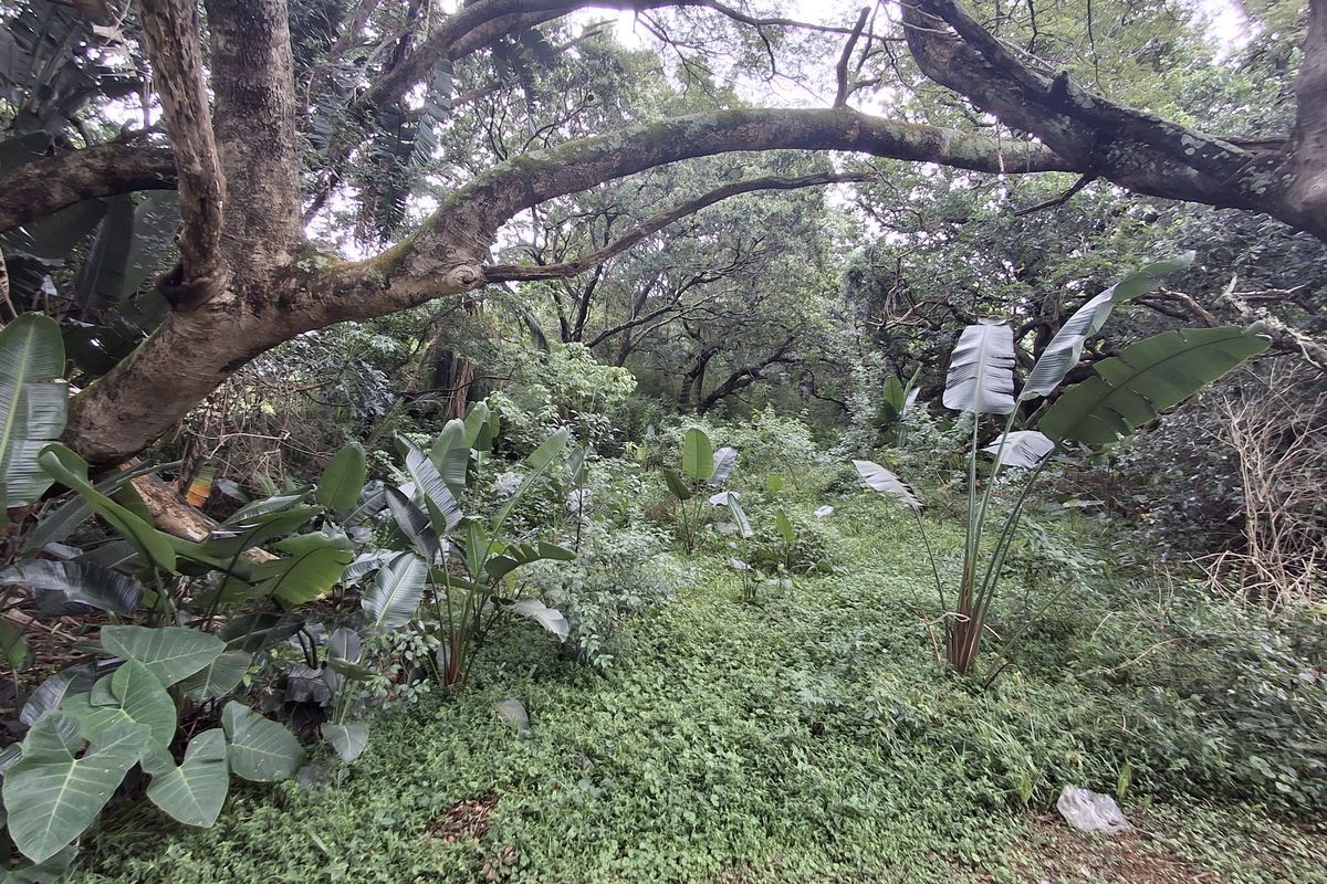 Developer’s Dream Stand - Photo 3