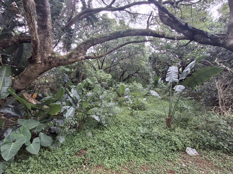 Developer’s Dream Stand - Photo 3