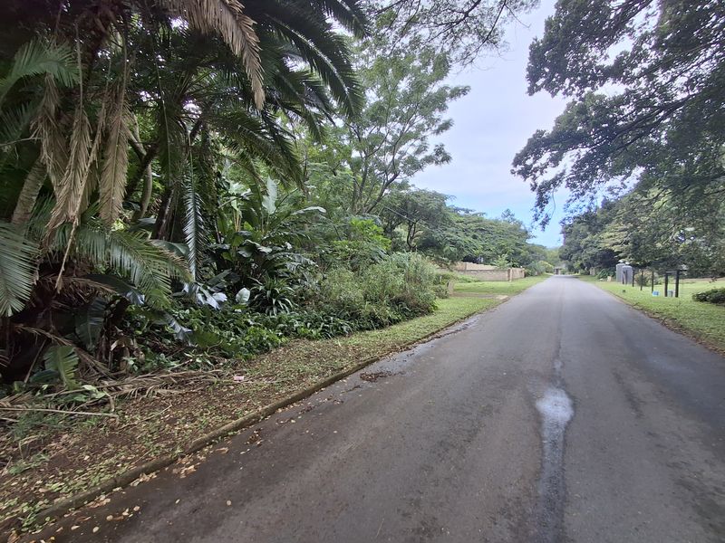 Developer’s Dream Stand - Photo 9