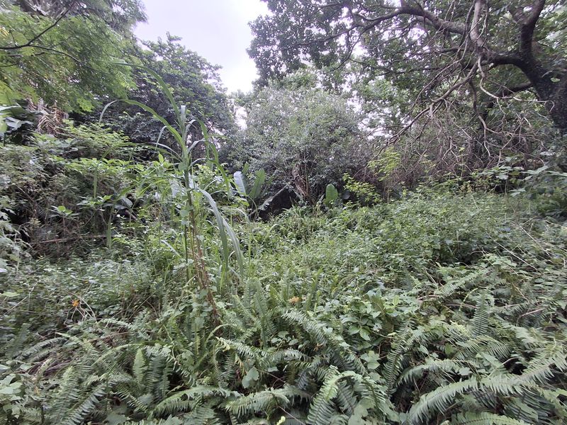 Developer’s Dream Stand - Photo 6