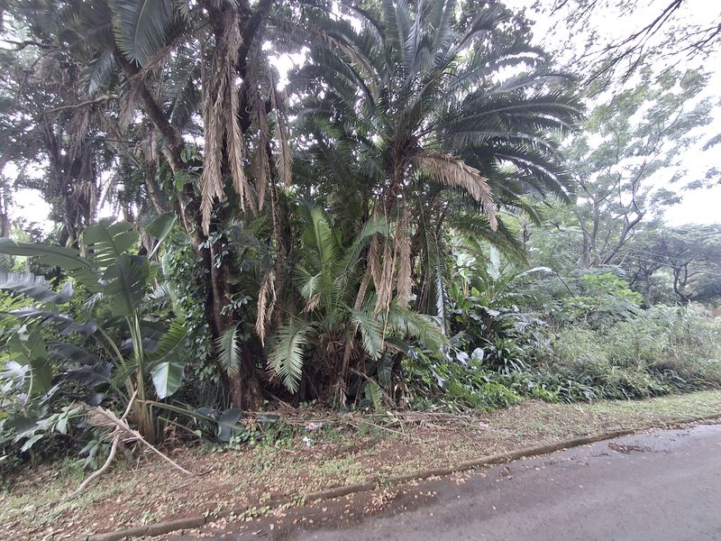 Developer’s Dream Stand - Photo 8