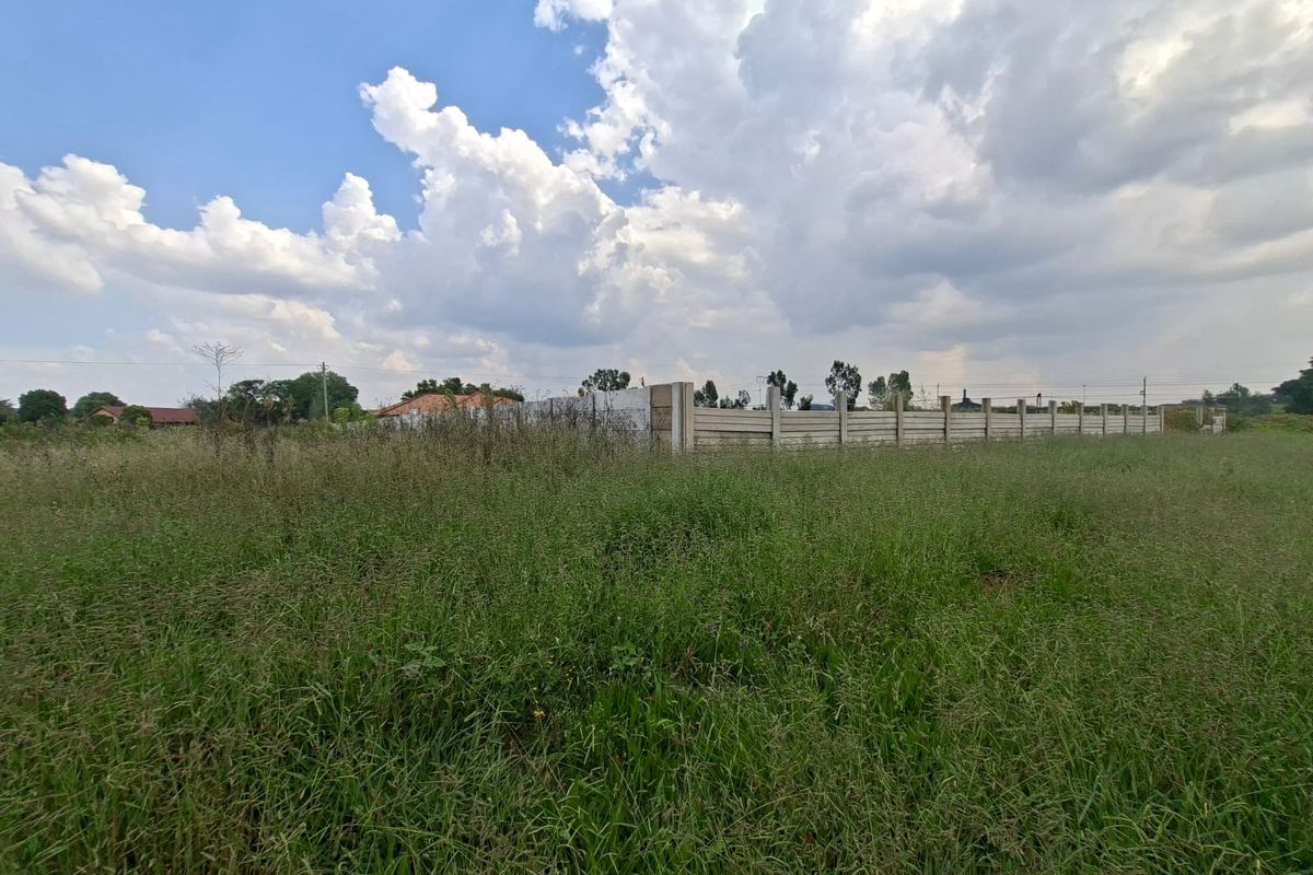 A vacant residential plot featuring overgrown grass and a precast concrete boundary wall, offering a blank canvas for future development.