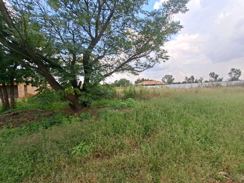A view of a vacant residential plot featuring mature trees and overgrown grass, enclosed by a perimeter wall.