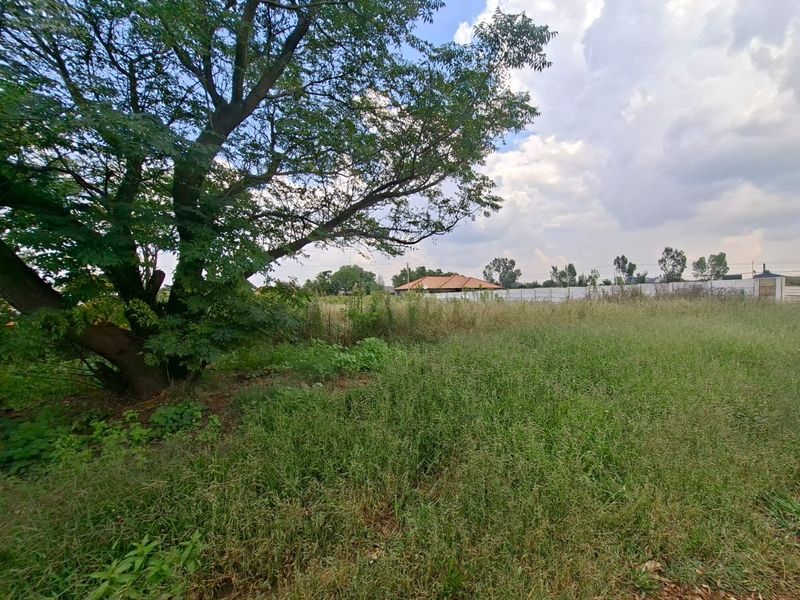 A view of a vacant residential plot featuring mature trees and a perimeter wall, currently covered in overgrown grass.