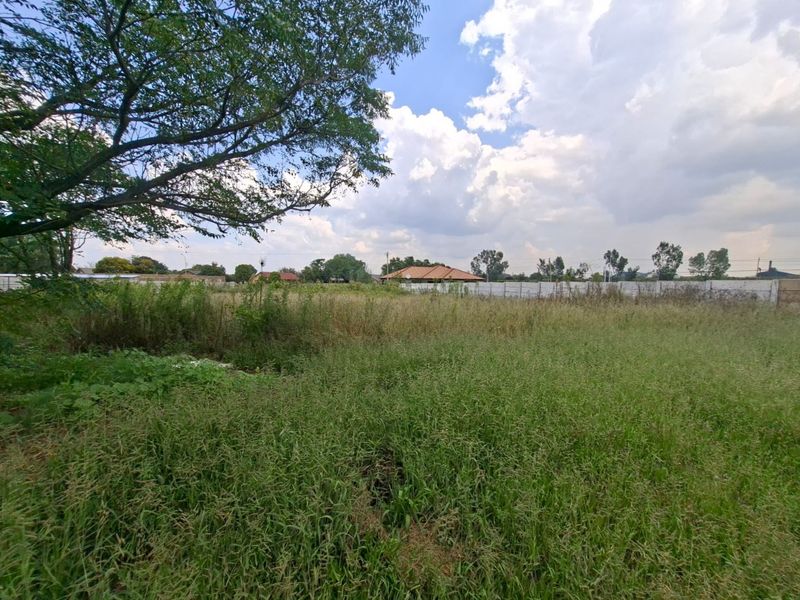 A vacant residential plot featuring overgrown grass and a perimeter wall, offering a blank canvas for future development.