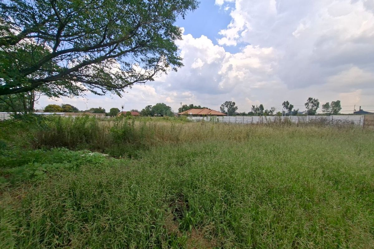 A vacant residential plot featuring overgrown grass and a perimeter wall, offering a blank canvas for future development.
