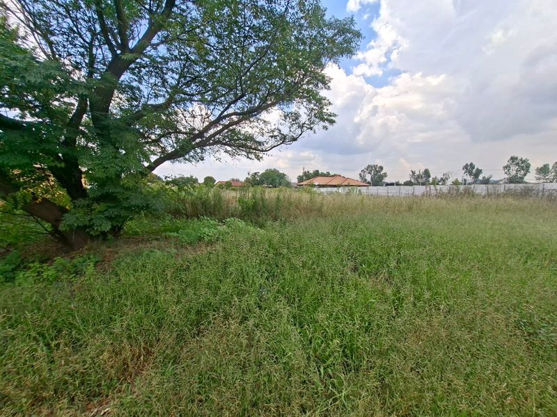 A vacant residential plot featuring overgrown grass and a large mature tree, enclosed by perimeter fencing.