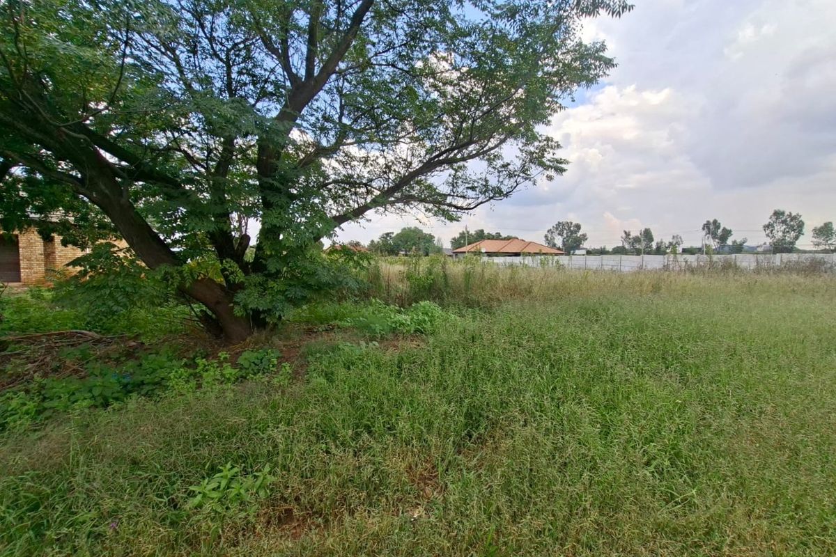 A view of a vacant residential plot featuring established trees and natural grass coverage.
