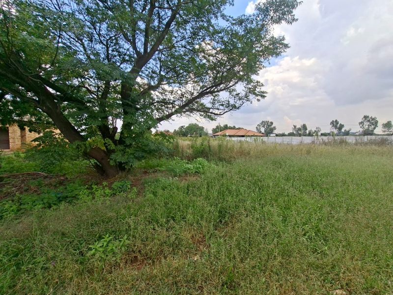 A view of a vacant residential plot featuring established trees and natural grass coverage.