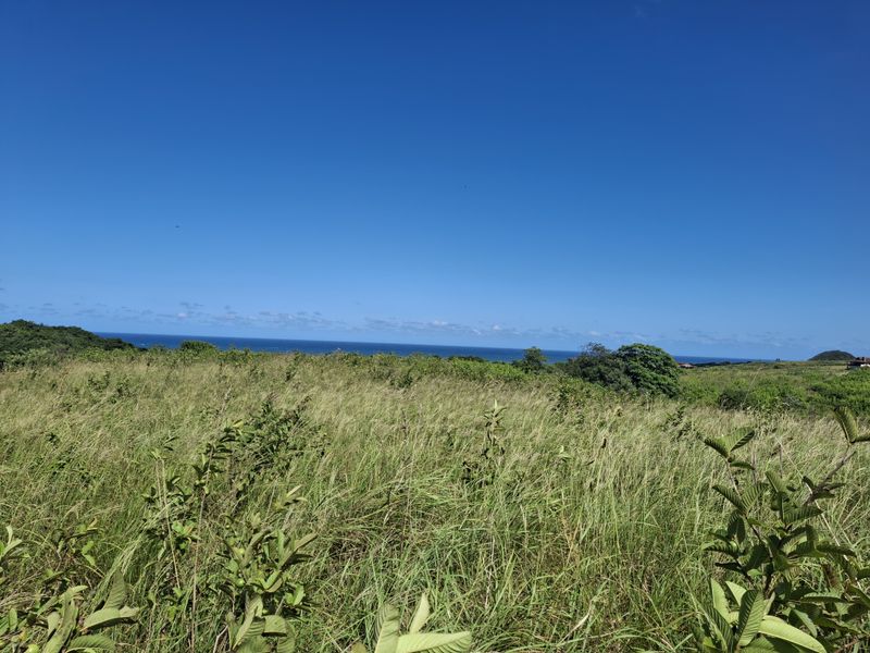 Vacant land in LuxEstate - Photo 10