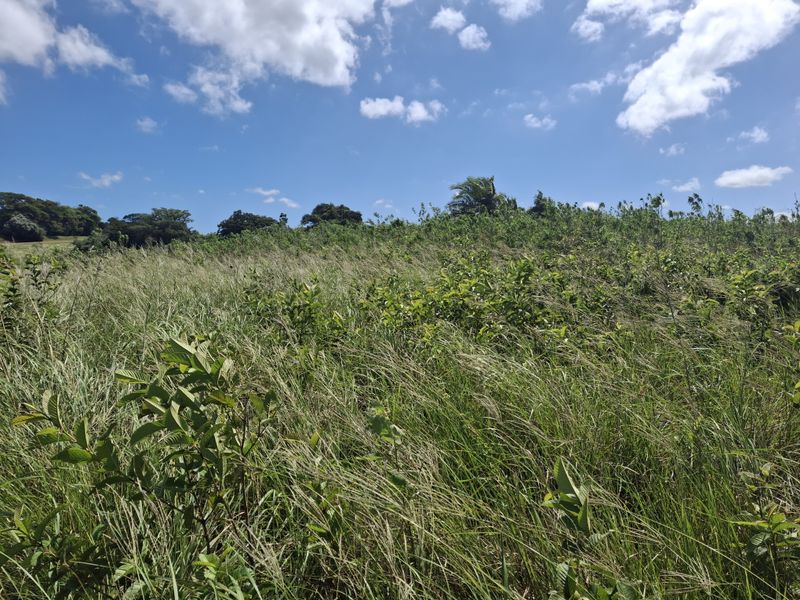 Vacant land in LuxEstate - Photo 7