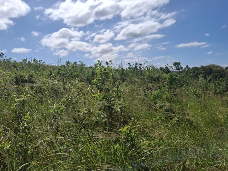 Vacant land in LuxEstate - Photo 8