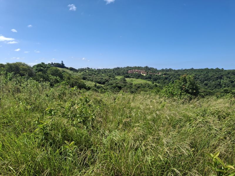 Vacant land in LuxEstate - Photo 9