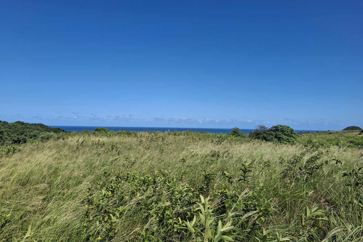 Vacant land in LuxEstate - Photo 4