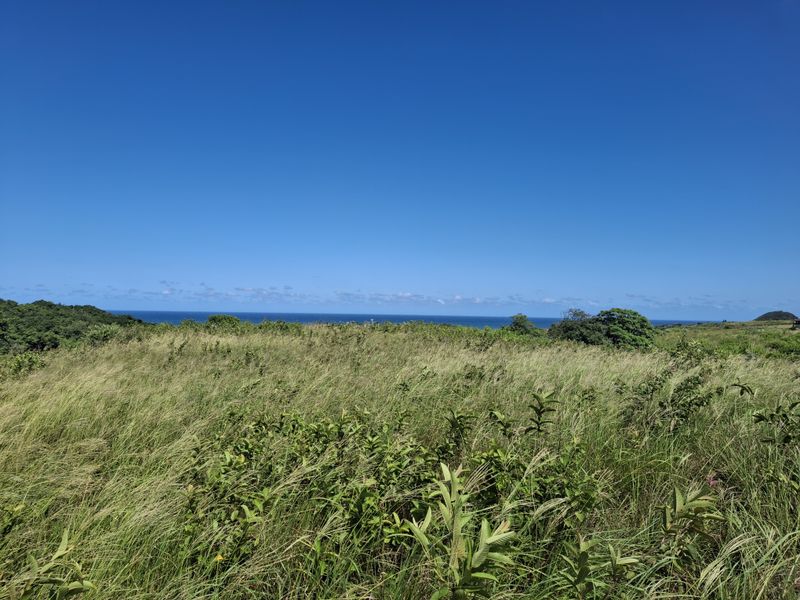 Vacant land in LuxEstate - Photo 4