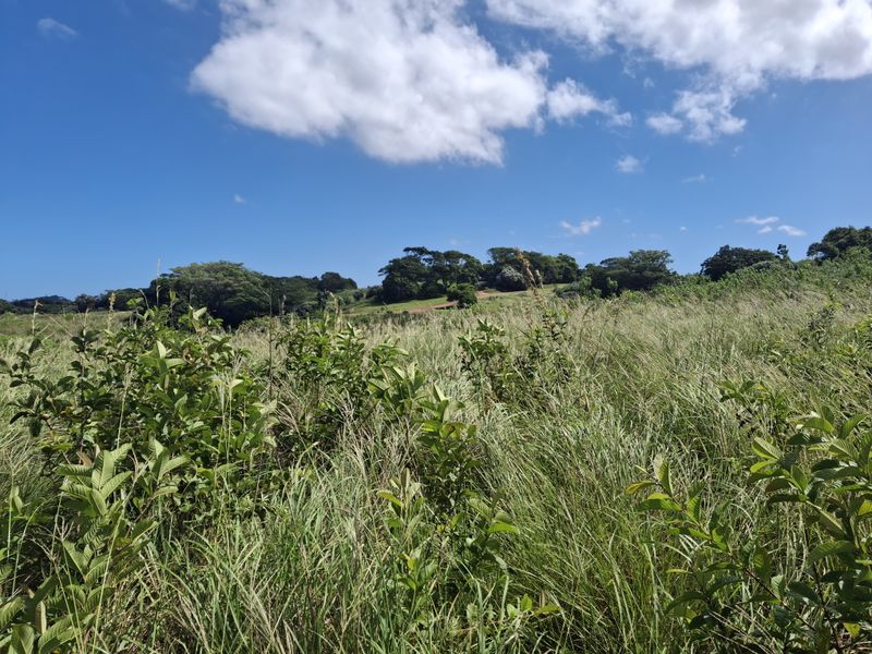 Vacant land in LuxEstate - Photo 6