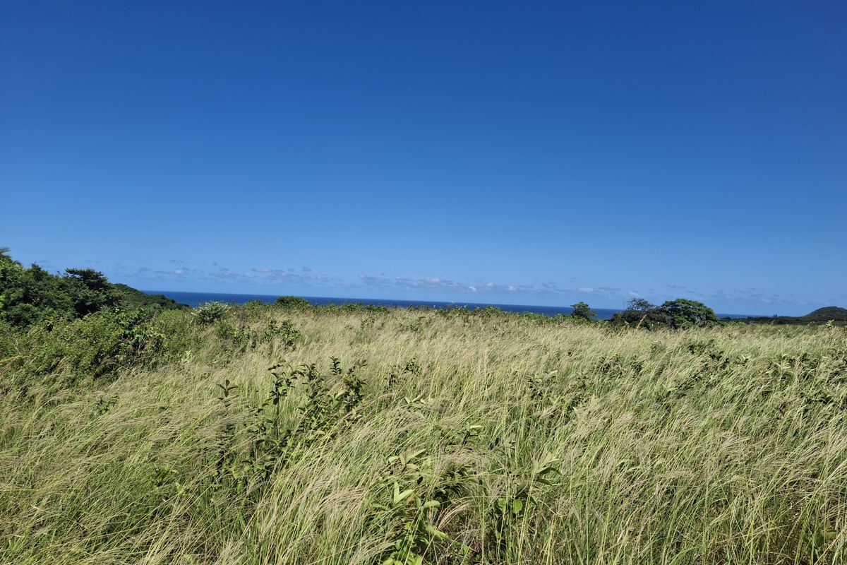 Vacant land in LuxEstate - Photo 3