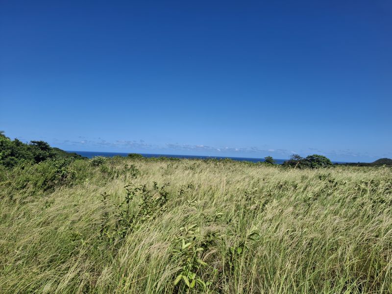 Vacant land in LuxEstate - Photo 3