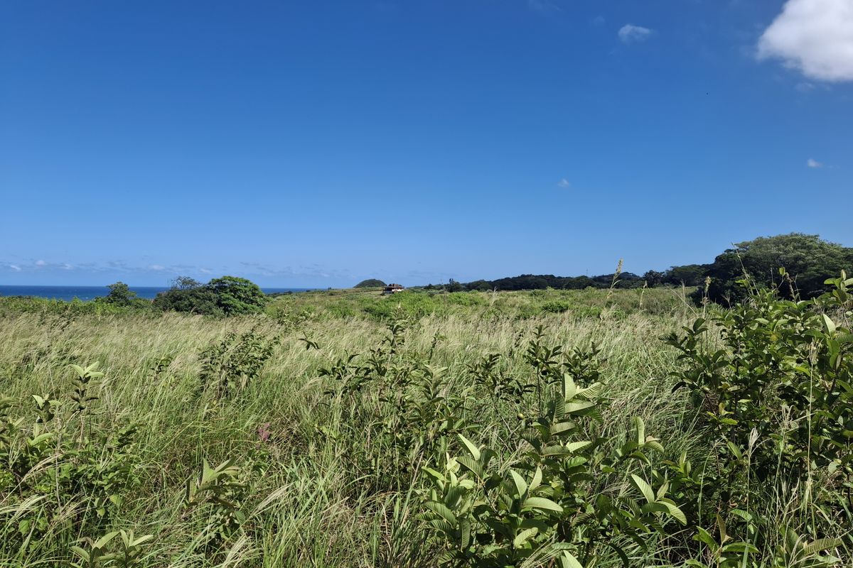 Vacant land in LuxEstate - Photo 5