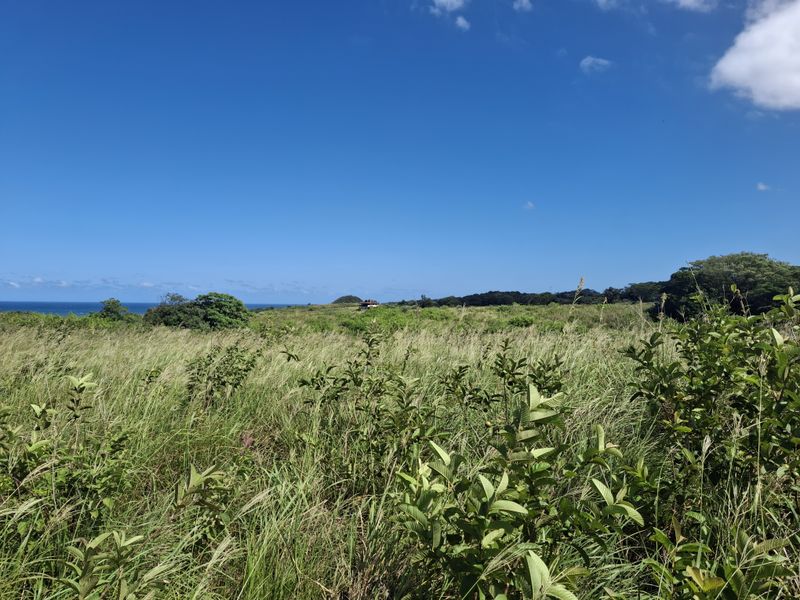 Vacant land in LuxEstate - Photo 5