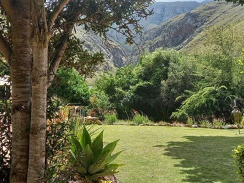 5-Bedroom Sanctuary in Greyton - Photo 10
