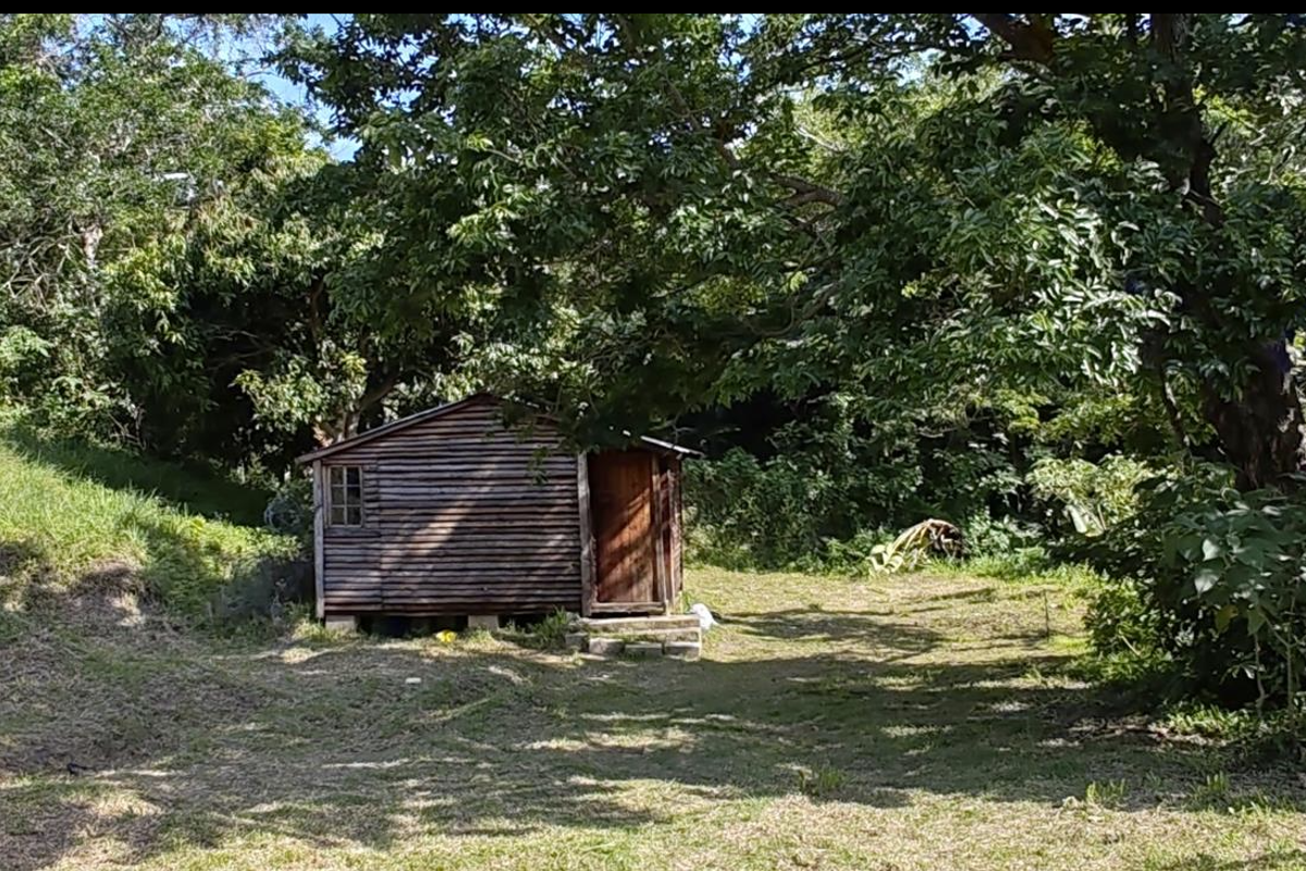 Affordable house that is pet friendly - Photo 3
