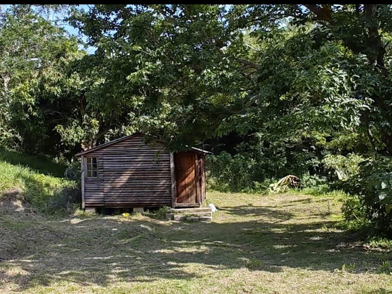 Affordable house that is pet friendly - Photo 3