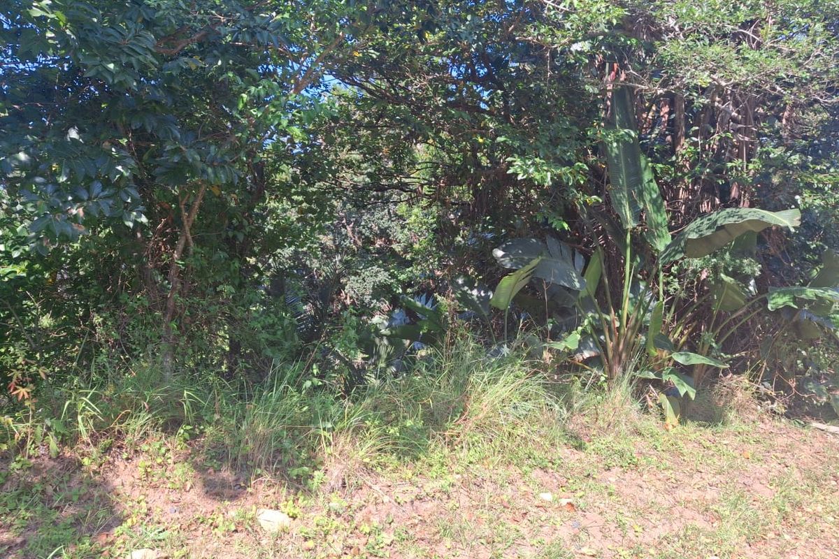 1030 Prime Property - Photo 2