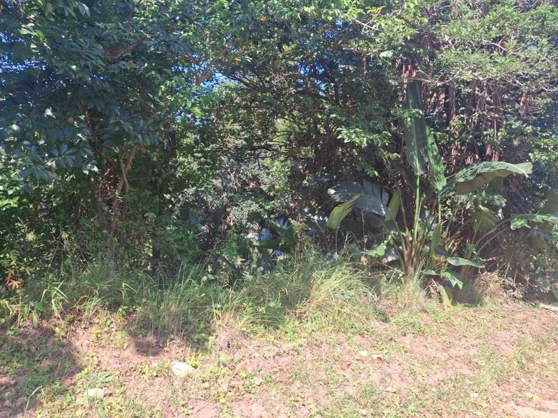 1030 Prime Property - Photo 2