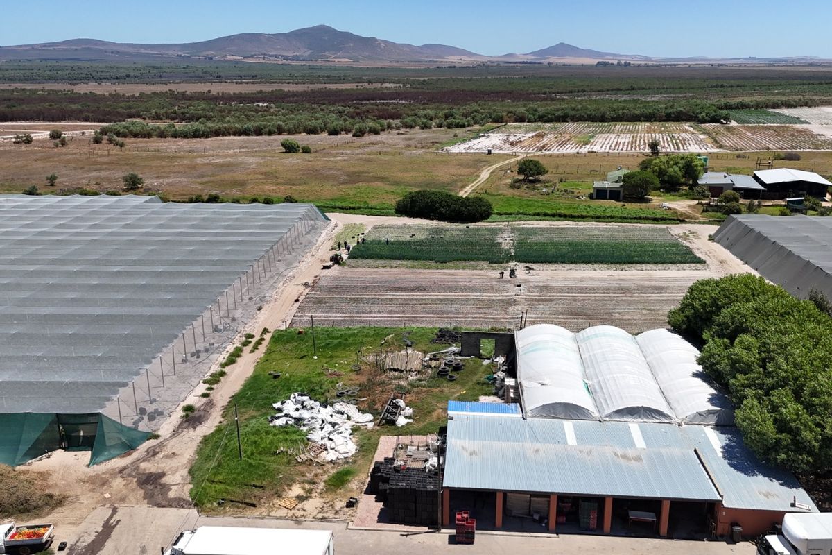 Aerial view of a working farm featuring extensive agricultural netting, greenhouses, and cultivated fields set against a rural landscape.