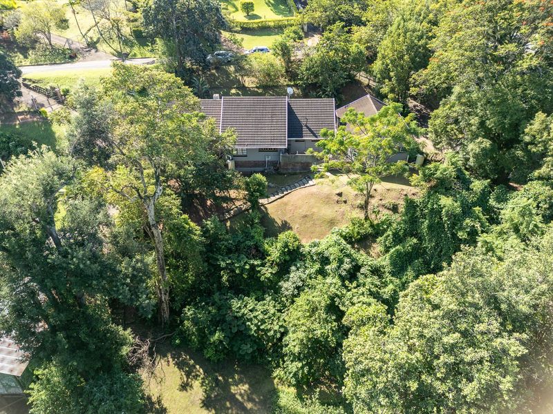 Aerial view of a residential property featuring a tiled roof house set within a lush, tree-filled garden with stone steps leading to the entrance.