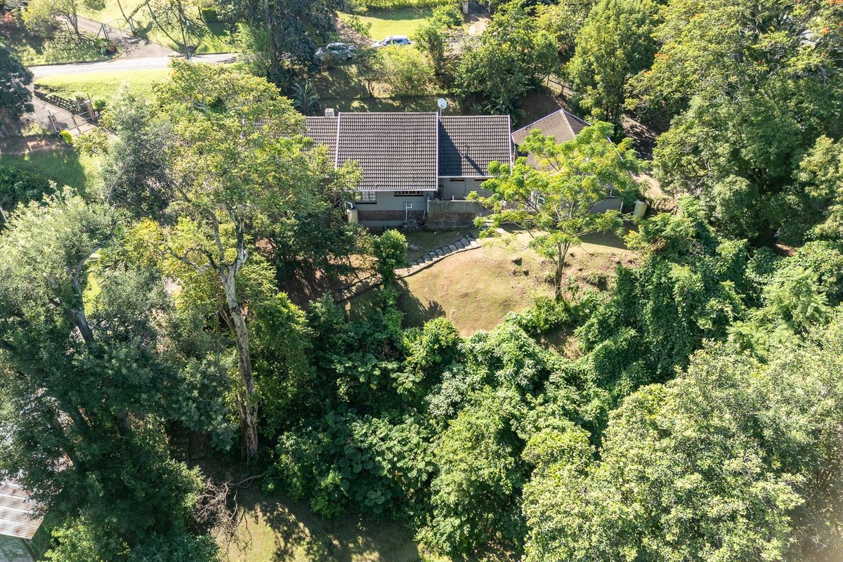 Aerial view of a residential property featuring a tiled roof house set within a lush, tree-filled garden with stone steps leading to the entrance.