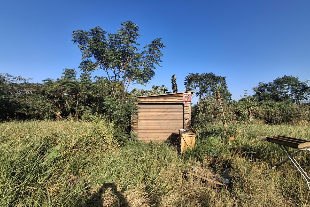 A small, weathered timber storage structure with a roller door, situated on an overgrown residential plot.