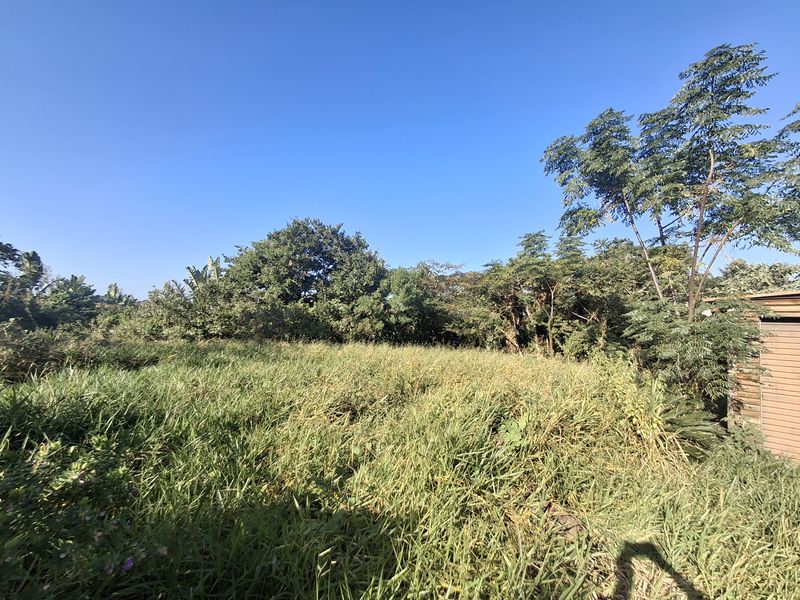 Vacant Land with Approved Plans - Photo 6