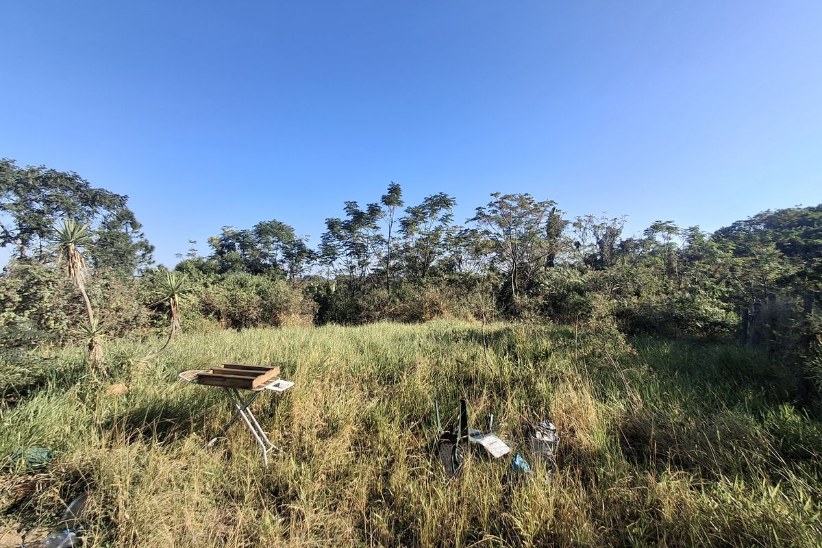 Vacant Land with Approved Plans - Photo 5