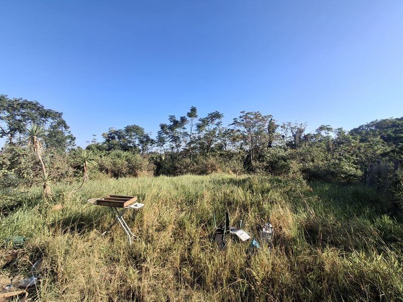 Vacant Land with Approved Plans - Photo 5